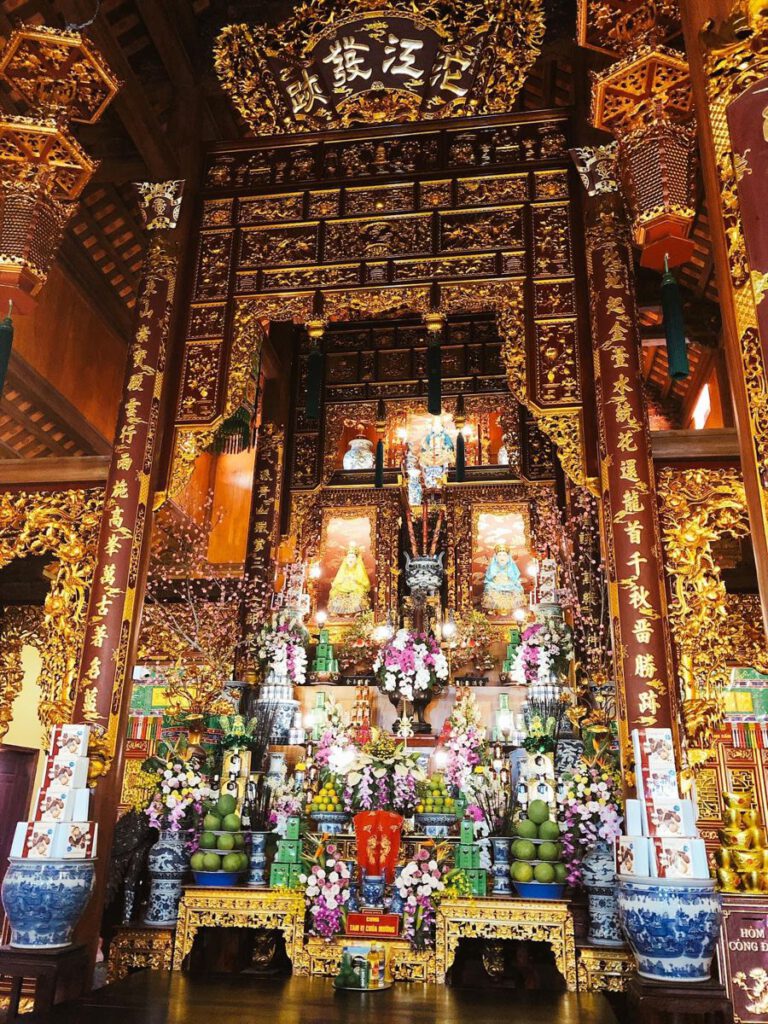 tam vi chua muong